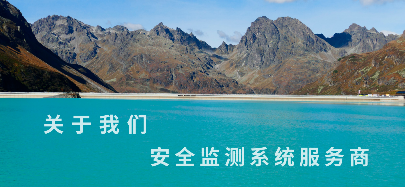 Company (图1)